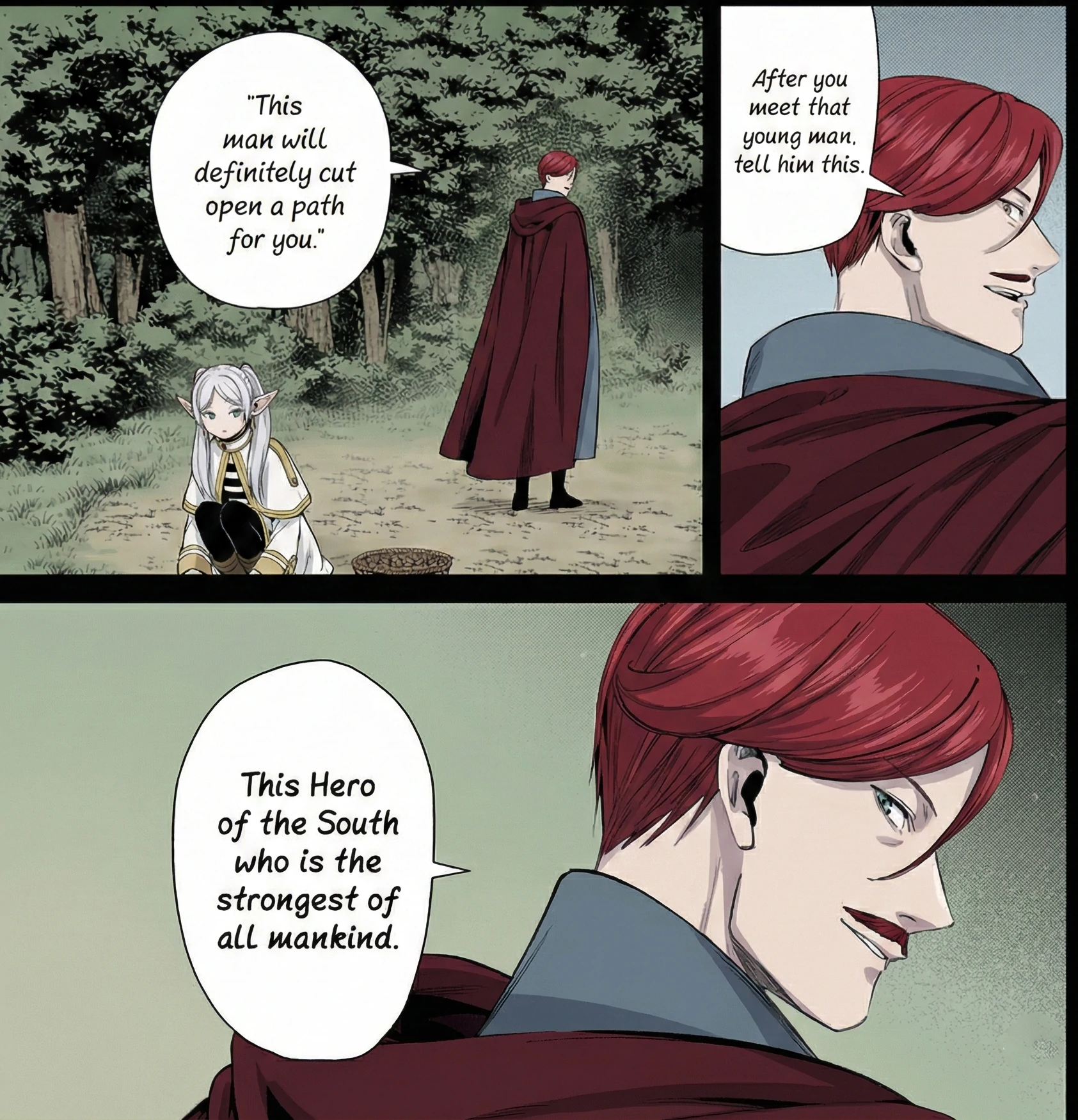 Hero of the South clearing the path that would later allow Himmel to defeat the Demon King
