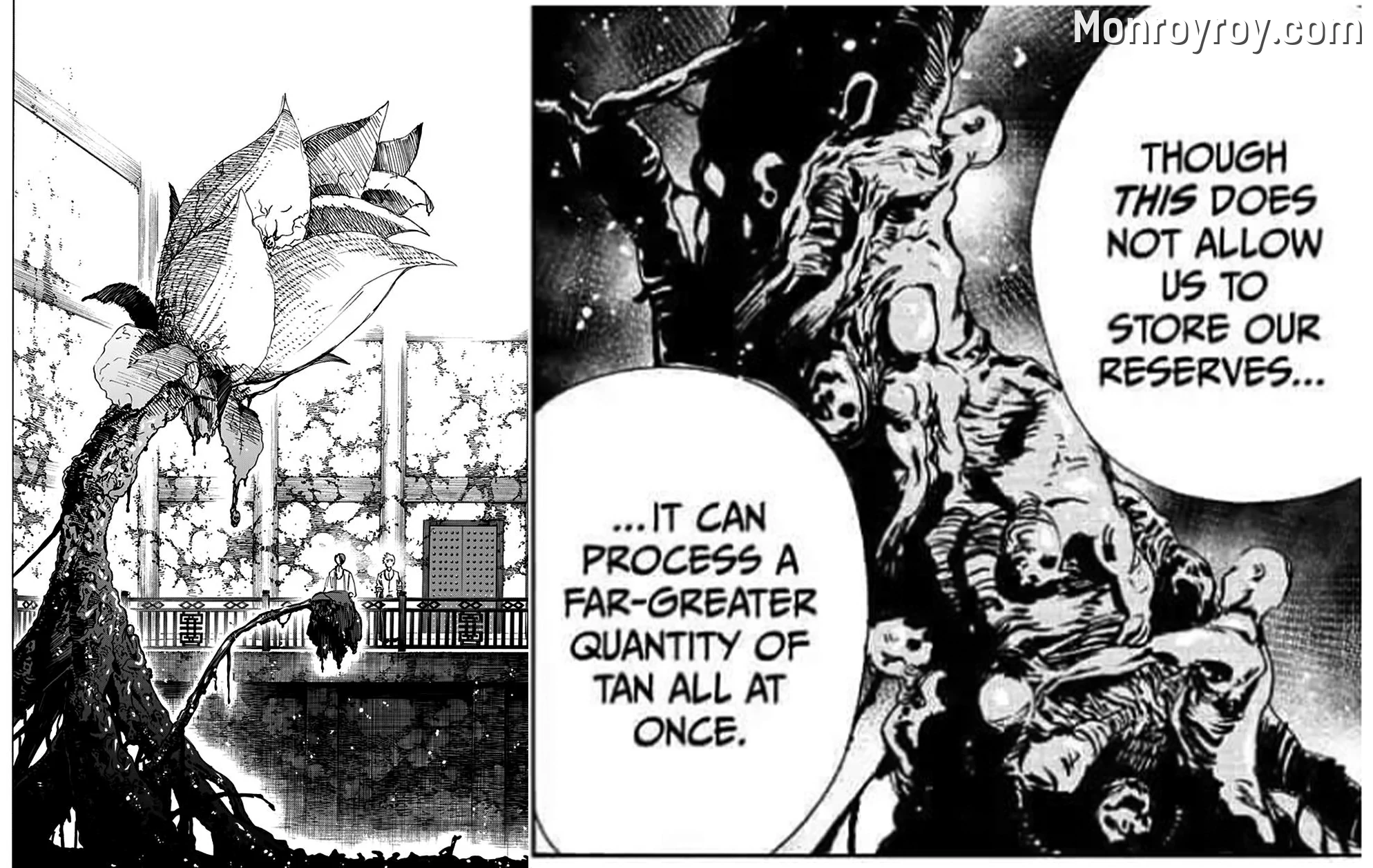 Rien researching the Elixir of Life and creating the massive Banko Waitanhua flower
